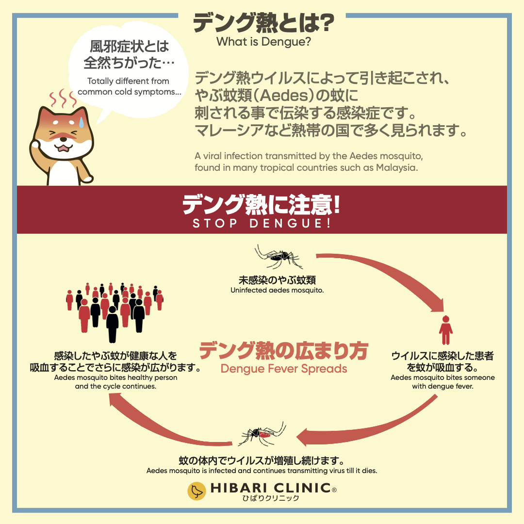 Dengue fever - what's dengue