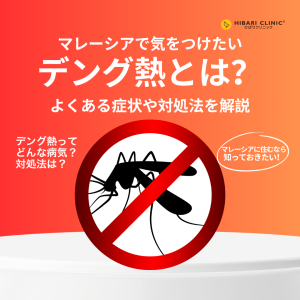 MY square dengue fever in Malaysia